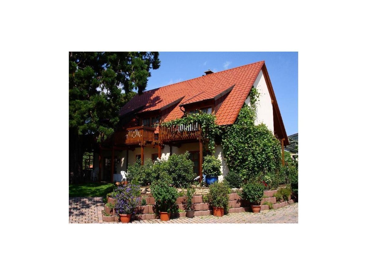 Gaestehaus Hellmer Нойштадт-ан-дер-Вайнштрасе Экстерьер фото